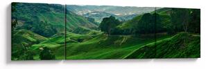 Obraz - Plantacje herbaty w Malezji (170x50 cm)