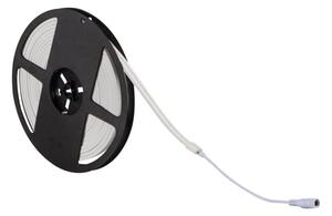 Taśma LED neon niebieska 5 metrów 12W/m 24V IP65 Kanlux