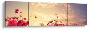 Obraz - Łąka z kwiatami (170x50 cm)