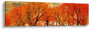 Obraz - Jesień (170x50 cm)