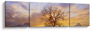 Obraz - Pejzaż ze słonecznikami (170x50 cm)