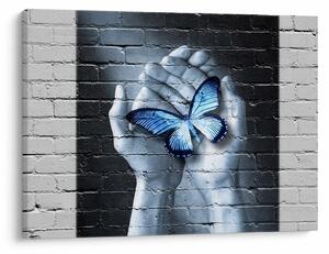 Obraz - Motyl na ścianie (70x50 cm)