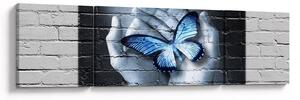 Obraz - Motyl na ścianie (170x50 cm)