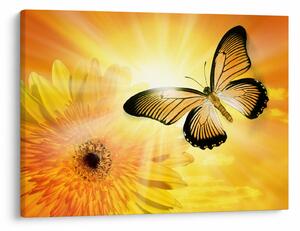 Obraz - Żółty motyl z kwiatkiem (70x50 cm)