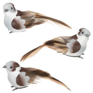 Ptaszek na klipsie biało-brązowy, 3 szt., 10 x 4 x 4 cm