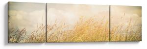 Obraz - Pole jesienią (170x50 cm)