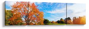 Obraz - Jesienny krajobraz (170x50 cm)