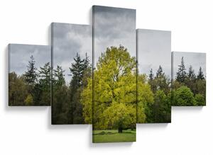 Obraz zielonego drzewa na środku pola (125x70 cm)