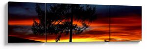 Obraz - Sylwetka wilka (170x50 cm)