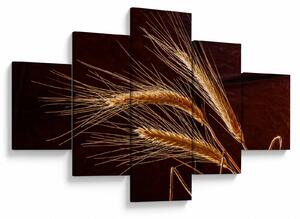 Obraz - Fragment kłosa żyta (125x70 cm)