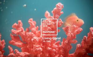 Kubek 375 ml PANTONE Living Coral COY 2019 + opakowanie ozdobne Pantone