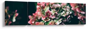 Obraz - Fragment Hortensji (170x50 cm)