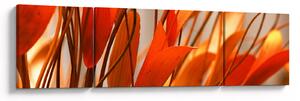 Obraz płatków kwiatów (170x50 cm)