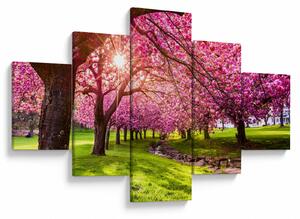 Obraz kwitnących czereśni, Hurd Park, Dover, New Jersey (125x70 cm)