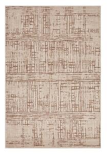 Brązowy/beżowy dywan 240x340 cm Terrain – Hanse Home