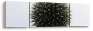 Obraz kuli kwiatowej (170x50 cm)