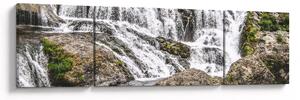 Obraz - Rapids (170x50 cm)