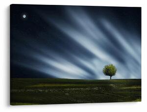 Obraz zorzy polarnej nad wrzosowiskami (70x50 cm)