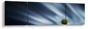 Obraz zorzy polarnej nad wrzosowiskami (170x50 cm)