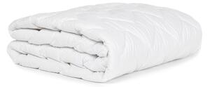 Ochraniacz na materac 120x200 cm Protect – Bonami Essentials