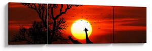 Obraz - Sylwetki zwierząt o zachodzie słońca (170x50 cm)