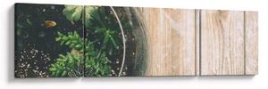 Obraz sukulentów w szkle (170x50 cm)