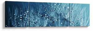 Obraz - Krople rosy (170x50 cm)