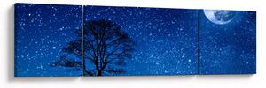 Obraz wilka wyjącego do księżyca (170x50 cm)