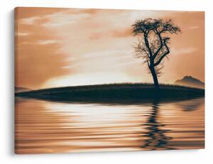 Obraz drzewa na wyspie (70x50 cm)