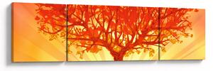 Obraz - Drzewo w słońcu (170x50 cm)