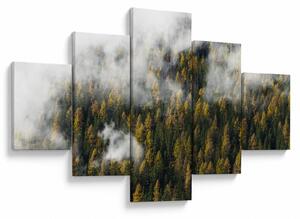 Obraz lasu w chmurach (125x70 cm)