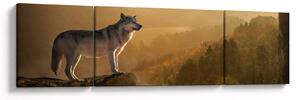 Obraz wilka na skale (170x50 cm)