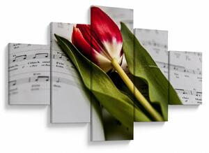 Obraz czerwonego tulipana (125x70 cm)