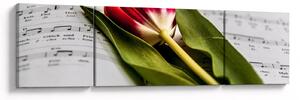Obraz czerwonego tulipana (170x50 cm)
