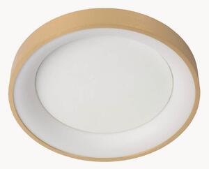 Lampa sufitowa LED z funkcją przyciemniania Vidal
