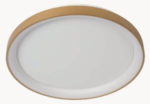 Lampa sufitowa LED z funkcją przyciemniania Vidal
