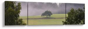 Obraz łąki z drzewem (170x50 cm)