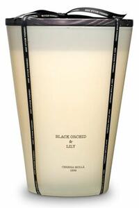 Świeca zapachowa CERERIA MOLLA Black Orchid & Lily 3500 g