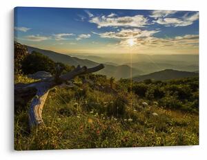 Obraz - Widok na otoczenie (70x50 cm)