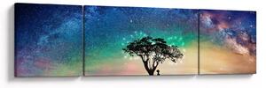 Obraz - Odpoczynek pod gwiazdami (170x50 cm)