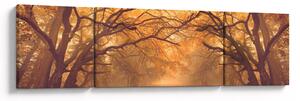 Obraz drogi w jesiennym krajobrazie (170x50 cm)