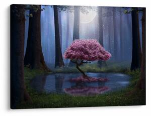 Obraz - Magiczna noc (70x50 cm)