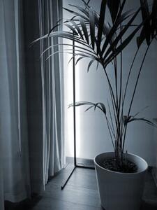 Lampa podłogowa MASTERLED LED RGB 20W 140cm pilot stojąca czarna