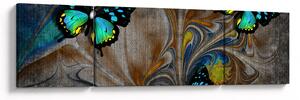 Obraz - Jasne motyle na zdjęciu (170x50 cm)