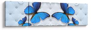 Obraz - Niebieskie motyle (170x50 cm)