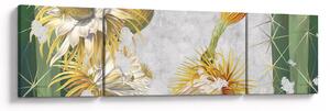 Obraz - Kwitnące kaktusy, vintage (170x50 cm)