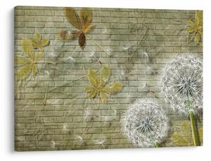 Obraz - Dmuchawce unoszone wiatrem (70x50 cm)