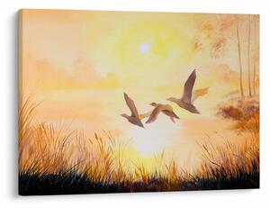 Obraz - Żurawie o zachodzie słońca (70x50 cm)