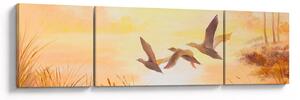 Obraz - Żurawie o zachodzie słońca (170x50 cm)