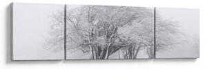 Obraz - Biała zima (170x50 cm)